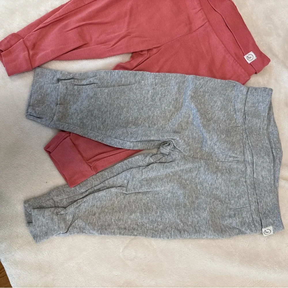 Carters 9 months pants little planet organic baby girl floral pink grey
